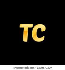 TechCorp Inc